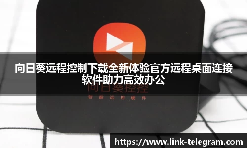 向日葵远程控制下载全新体验官方远程桌面连接软件助力高效办公